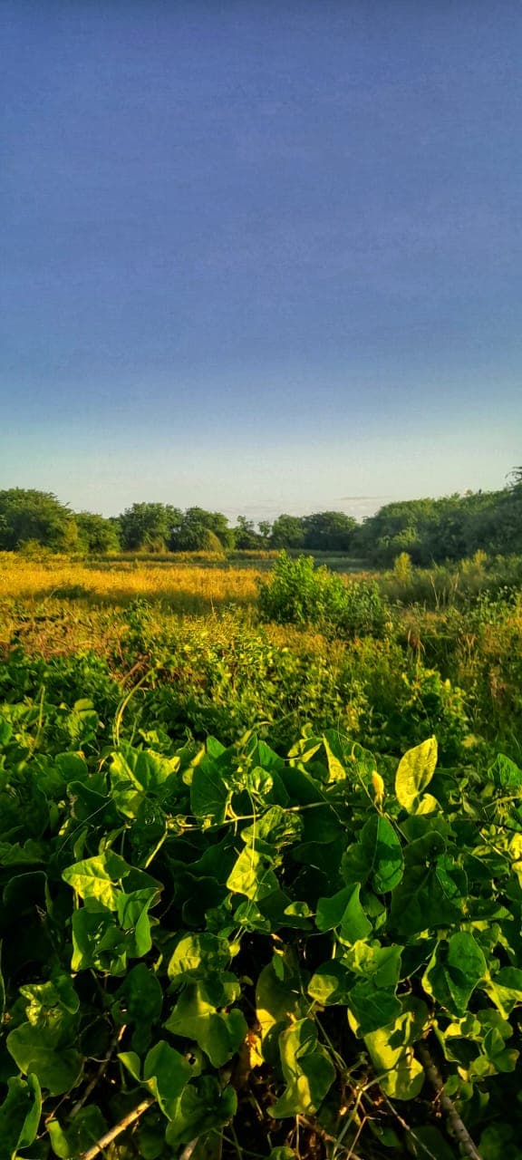 Photography by me